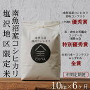 【ふるさと納税】【定期便隔月お届け令和7年産新米予約】南魚沼食味コンクール4年連続優秀賞 塩沢地区限定米10kg×6回 南魚沼塩沢産コシヒカリ【2025年9月中...