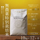 【ふるさと納税】【年間定期便令和7年産新米予約】南魚沼食味コンクール4年連続優秀賞 無農薬特別栽培米10kg×12回 南魚沼塩沢産コシヒカリ【2025年10月中...