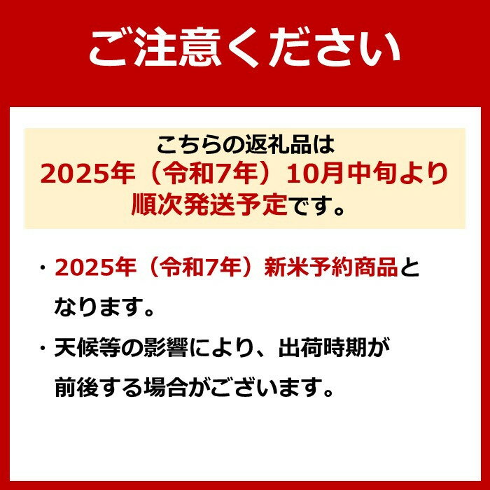 【本日楽天ポイント4倍相当】亀田製菓株式会社イオンバランスおかゆ 100g入＜栄養・水分・電解質を補給＞【たんぽぽ薬房】【北海道・沖縄は別途送料必要】（発送まで7〜14日程です・ご注文後のキャンセルは出来ません）