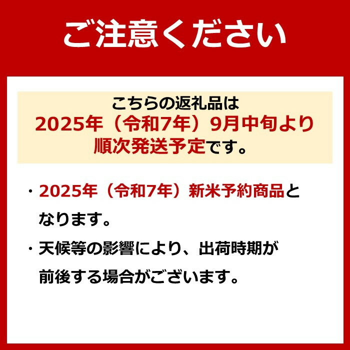 【ふるさと納税】【令和7年産新米予約】【定期便】魚沼プレミアム（有機肥料、農薬不使用）「匠が作るこだわり米」精米10kg×全12回【2025年9月中旬より順次発送予定】 | お米 こめ 白米 コシヒカリ 食品 人気 おすすめ 送料無料 魚沼 南魚沼 南魚沼市 新潟県産