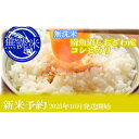 【ふるさと納税】【新米予約・令和7年産】定期便3ヶ月:無洗米5kg●南魚沼しおざわ産コシヒカリ【2025年10月上旬より順次発送予定】 | お米 こめ 白米 コシヒカリ 食品 人気 おすすめ 送料無料 魚沼 南魚沼 南魚沼市 新潟県産 新潟県 精米 産直 産地直送 お取り寄せ