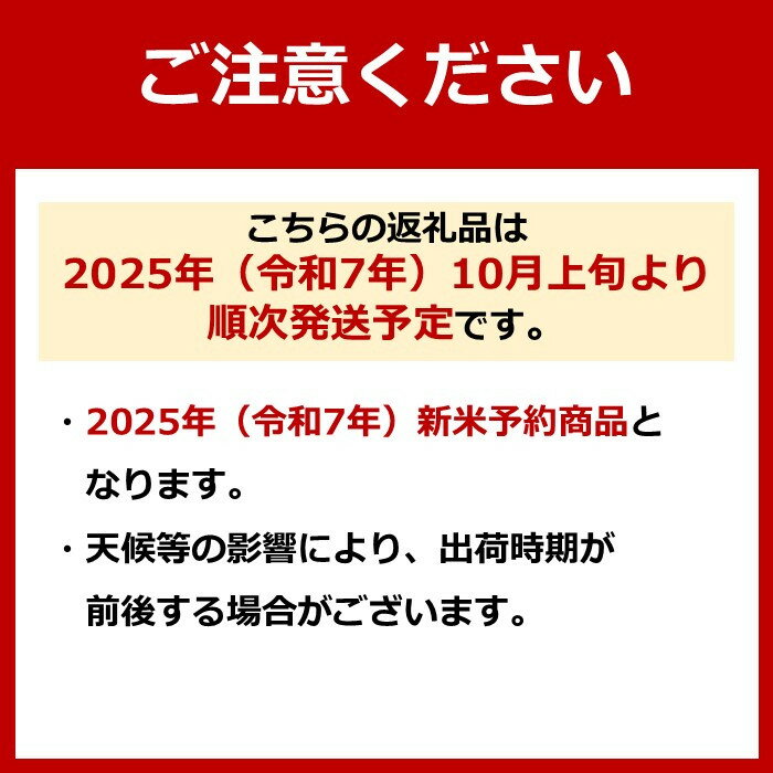 【ふるさと納税】【新米予約・令和7年産】定期便3ヶ月：精米2kg生産者限定 南魚沼しおざわ産コシヒカリ【2025年10月上旬より順次発送予定】 | お米 こめ 白米 食品 人気 おすすめ 送料無料