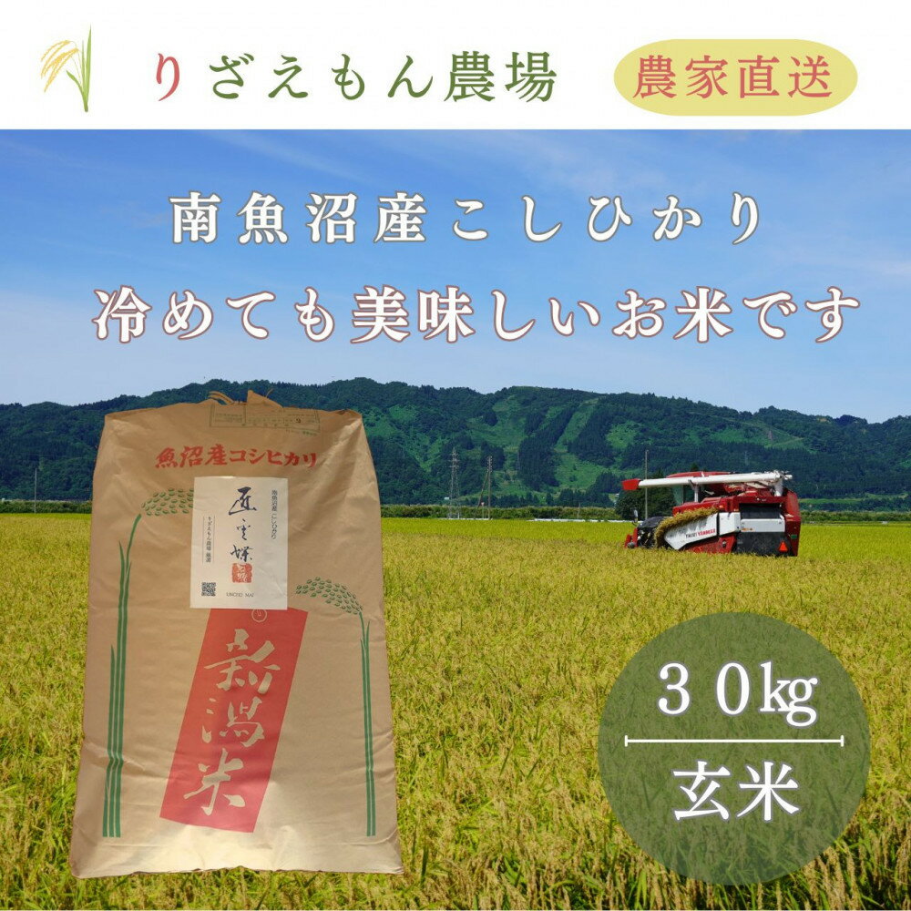 【ふるさと納税】玄米30kg 令和7年産 南魚沼産 コシヒカリ こしひかり 魚野川流域 匠 雲蝶(たくみ うんちょう)\生産農家直送/ | お米 こめ 食品 コシヒカリ こしひかり 南魚沼
