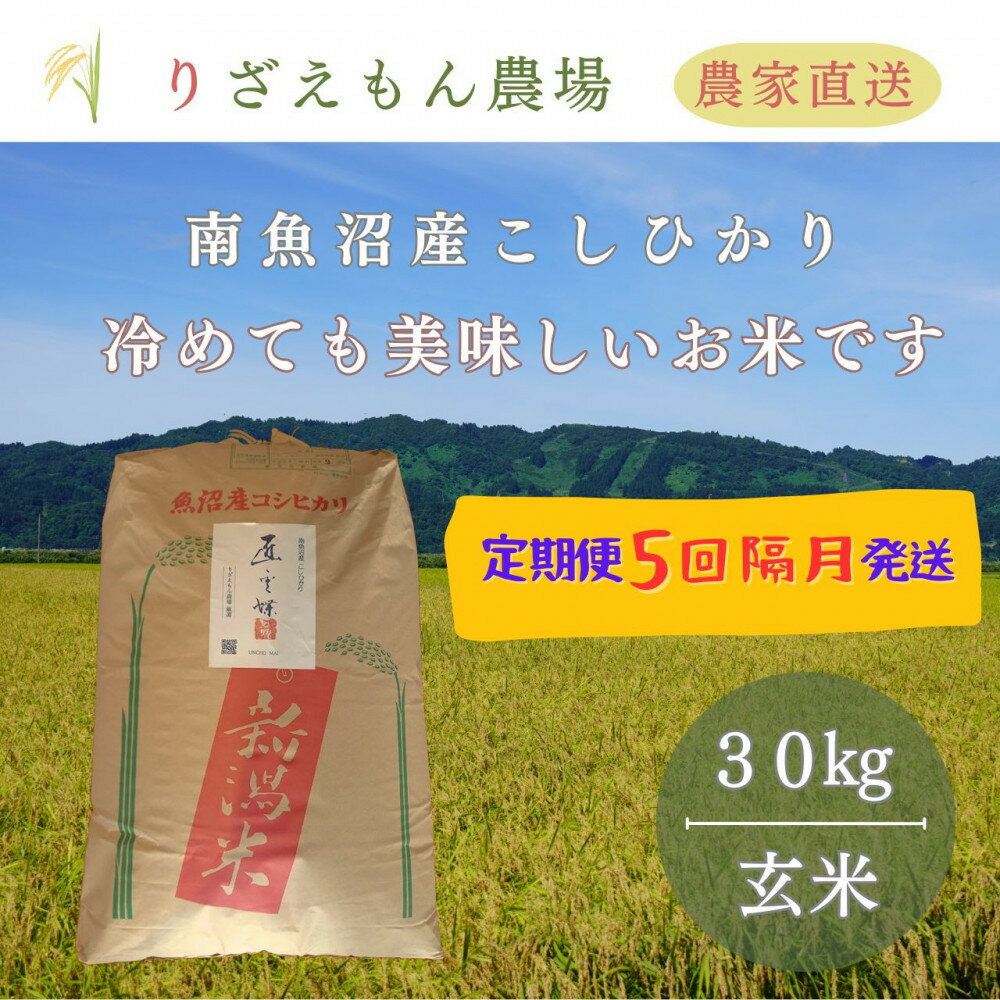 【ふるさと納税】【定期便5回×玄米30kg《合計150kg》】【隔月発送】令和7年産 南魚沼産コシヒカリ 玄米 30kg ＼生産農家直送／ | お米 こめ 食品 コシヒカリ こしひかり 南魚沼