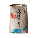 【ふるさと納税】【令和7年産新米予約】南魚沼産 塩沢コシヒカリ「だすけ米」玄米20kg(5kg×4袋)【2025年9月中旬より順次発送予定】 | お米 こめ 白米 食 コシヒカリ 南魚沼産 塩沢 安心 人気 おすすめ 送料無料