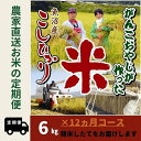 【ふるさと納税】【令和7年産新米予約】12か月定期便 がんこおやじが作った南魚沼産コシヒカリ白米6kg(3kg×2袋)【2025年10月20日頃より順次発送予定】 | お米 こめ 白米 コシヒカリ 食品 人気 おすすめ 送料無料 魚沼 南魚沼 南魚沼市 新潟県産 新潟県 精米 産地直送