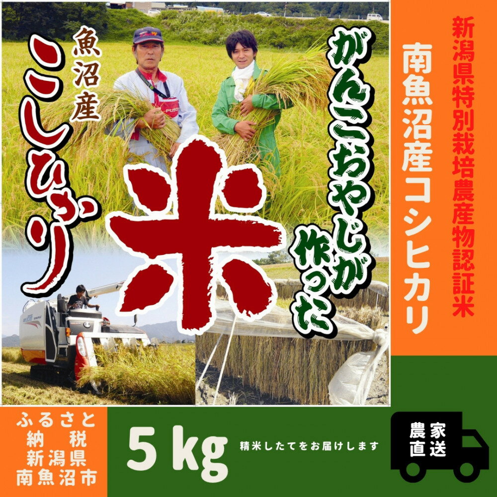 【ふるさと納税】【令