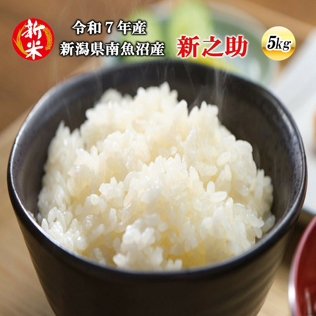 【ふるさと納税】【令和7年産新米先行予約】南魚沼産新之助5k