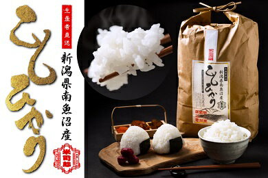 【ふるさと納税】【精米】自然農法/化学肥料不使用の南魚沼産こしひかり5kg | 送料無料 魚沼産 コシヒカリ 魚沼 新潟 こしひかり 新潟県産 白米 精米 米 お米 産直 産地直送 お取り寄せのサムネイル