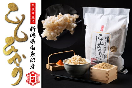 【玄米】自然農法/化学肥料不使用の南魚沼産こしひかり(玄米)2kg │ 送料無料 魚沼産 コシヒカリ 魚沼 新潟 こしひかり 新潟県産 玄米 米 お米 産直 産地直送 お取り寄せ