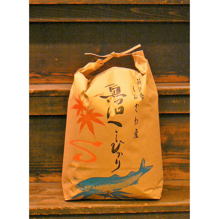 【ふるさと納税】【令和7年度産】《語り伝えられる地》南魚沼しおざわ産コシヒカリ5Kg（白米） | お米 こめ 白米 コシヒカリ 食品 人気 おすすめ 送料無料 魚沼 南魚沼 南魚沼市 新潟県産 新潟県 精米 産直 産地直送 お取り寄せ