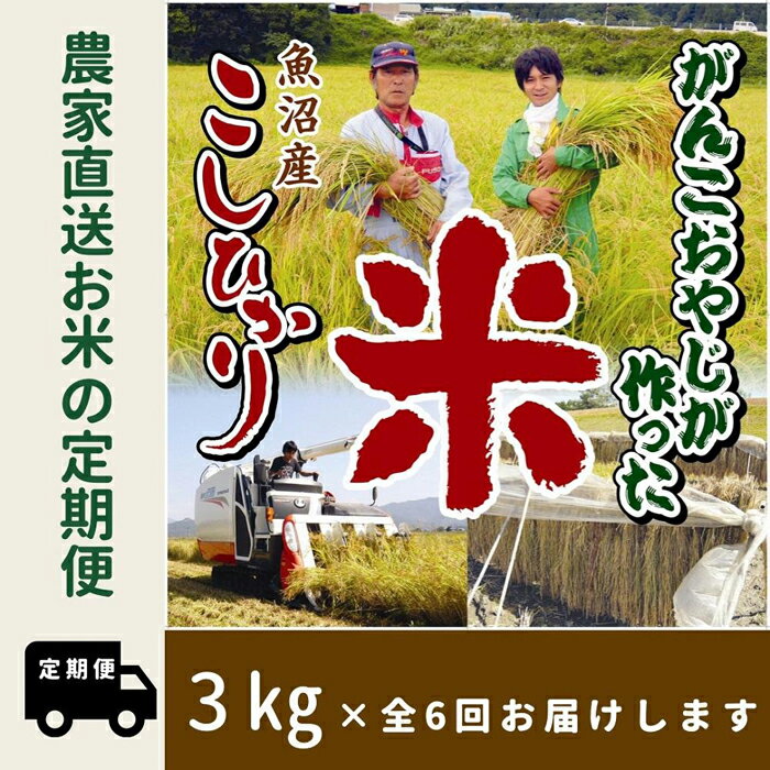 【ふるさと納税】【令和6年産新米予約／令和6年9月下旬より順次発送】【6か月定期便】がんこおやじが作った南魚沼産コシヒカリ白米3kg | お米 こめ 白米 コシヒカリ 食品 人気 おすすめ 送料無料 魚沼 南魚沼 南魚沼市 新潟県産 新潟県 精米 産直 産地直送 お取り寄せのサムネイル