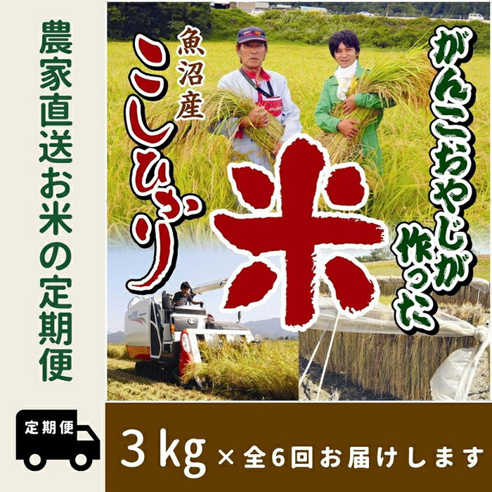 【ふるさと納税】令和5年産【6か月定期便】がんこおやじが作っ