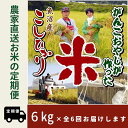 【ふるさと納税】【令和7年産新米予約】6か月定期便 がんこおやじが作った南魚沼産コシヒカリ白米6kg(3kg×2袋)【2025年10月20日頃より順次発送予定】...