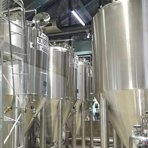 【ふるさと納税】酒 ビール セット 12本 × 330ml ( 八海山 ライディーンビール アルト ) | お酒 さけ 人気 おすすめ 送料無料 ギフト