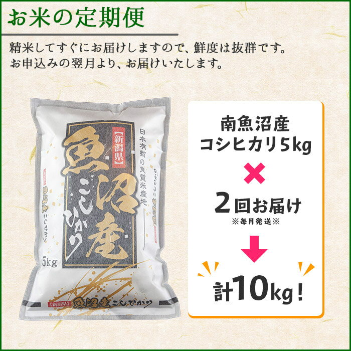 【ふるさと納税】【定期便】新潟県 南魚沼産 コシヒカリ お米 5kg 計2回 精米 魚沼 米 こしひかり 送料無料 炊き方ガイド付き【2025年10月中旬より順次発送予定】 | お米 こめ 白米 コシヒカリ 食品 人気 おすすめ 送料無料 魚沼 南魚沼