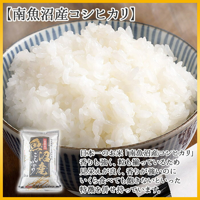 【ふるさと納税】【定期便】新潟県 南魚沼産 コシヒカリ お米 5kg×計12回 精米済み 年間 毎月発送 （お米の美味しい炊き方ガイド付き）