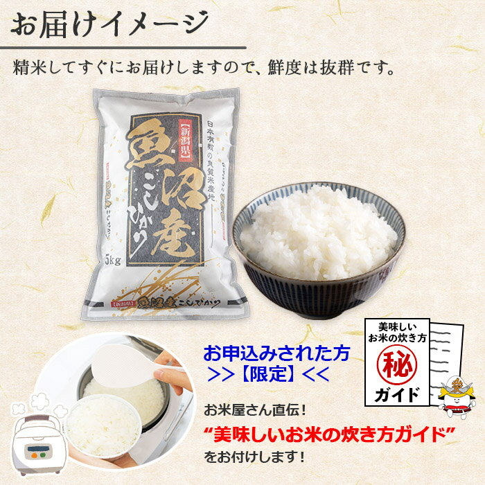 【ふるさと納税】【令和7年産】新潟県 南魚沼産 コシヒカリ お米 5kg 精米 魚沼 米 こしひかり 送料無料 炊き方ガイド付き【2025年10月中旬より順次発送予定】 | お米 こめ 白米 コシヒカリ 食品 人気 おすすめ 送料無料 魚沼 南魚沼