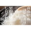 【ふるさと納税】米 コシヒカリ 南魚沼しおざわ産 4kg ( 2kg × 2袋 ) 生産地限定 契約栽培 | お米 こめ 白米 コシヒカリ 食品 人気 おすすめ 送料無料 魚沼 南魚沼 南魚沼市 新潟県産 新潟県 精米 産直 産地直送 お取り寄せ