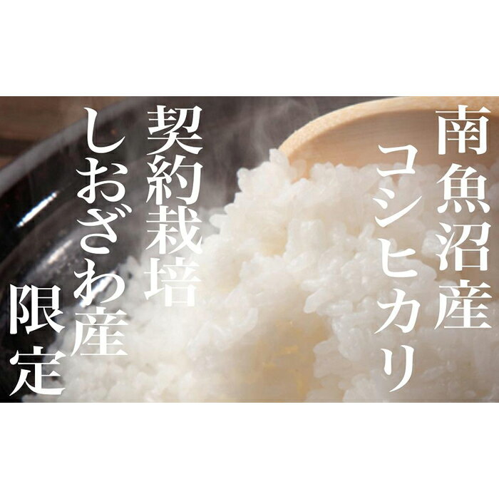 ・ふるさと納税よくある質問はこちら ・寄付申込みのキャンセル、返礼品の変更・返品はできません。あらかじめご了承ください。 ・ご要望を備考に記載頂いてもこちらでは対応いたしかねますので、何卒ご了承くださいませ。 ・寄付回数の制限は設けておりません。寄付をいただく度にお届けいたします。 商品概要 豪雪の苦難を強いられてきたこの地で、人と自然が見事に調和し結実させた世界に誇る南魚沼産コシヒカリ。ミネラルが豊富な伏流水と盆地特有の気温差、そして高い農業技術が項点を極める米を磨きあげました。「天恵」とも言える奇跡の自然環境と、幾多の先人の努カによって育み培われてきた【南魚沼しおざわ産コシヒカリ】 地域の契約篤農家の手塩にかけたお米作りでその特徴である香り・つや・粘りは一段とひきだされ、まさに【極上】の逸品です。 発送直前に精米し新鮮なお米をお届けいたします。 （毎年10月新米に切替予定） 保存方法：冷暗所で保存してください。 【お問合せ】発送事業者（越後のゆきうさぎ　TEL：090-8873-4021） 関連キーワード：お米 こめ 白米 食品 人気 おすすめ 送料無料 内容量・サイズ等 4Kg（2Kg×2袋）×3ヶ月　合計12Kg 品種：コシヒカリ　うるち精米　新潟県南魚沼市産(旧塩沢町産)　単一原料米 賞味期限 精米日より30日【オススメ】精米日は別途商品裏に記載 配送方法 常温 発送期日 毎月1回　全3回お届けいたします。 アレルギー 特定原材料等28品目は使用していません ※ 表示内容に関しては各事業者の指定に基づき掲載しており、一切の内容を保証するものではございません。 ※ ご不明の点がございましたら事業者まで直接お問い合わせ下さい。 名称 うるち精米 産地名 新潟県南魚沼市産(旧塩沢町産) 品種 コシヒカリ 産年 令和5年産 使用割合 単一原料米 精米時期 別途商品裏に記載 その他 賞味期限：精米日より30日【オススメ】精米日は別途商品裏に記載 事業者情報 事業者名 越後のゆきうさぎ 連絡先 090-8873-4021 営業時間 09:30-17:30 定休日 土曜・日曜・祝祭日・年末年始など「ふるさと納税」寄付金は、下記の事業を推進する資金として活用してまいります。 （1）南魚沼市の応援 （2）保健・医療・福祉 （3）教育・スポーツ・文化の振興 （4）産業振興・環境共生 （5）都市基盤・行財政改革 （6）国際大学の応援と交流の推進 （7）北里大学の応援と交流の推進