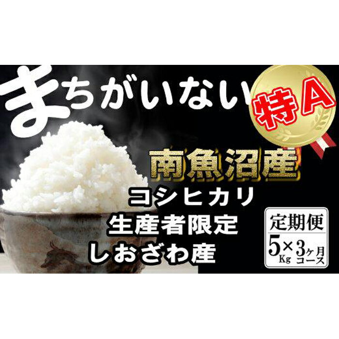 【ふるさと納税】米 定期便 コシヒカリ 南魚沼しおざわ産 15kg ( 5kg × 3ヶ月 ) 契約栽培 | お米 こめ 白米 食品 人気 おすすめ 送料無料 魚沼 南魚沼 南魚沼市 新潟県 精米 産直 産地直送 お取り寄せ お楽しみ