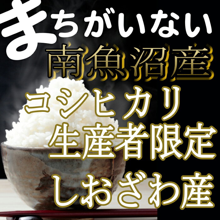 【ふるさと納税】米 定期便 コシヒカリ 南魚沼しおざわ産 15kg ( 5kg × 3ヶ月 ) 契約栽培 | お米 こめ 白米 食品 人気 おすすめ 送料無料 魚沼 南魚沼 南魚沼市 新潟県 精米 産直 産地直送 お取り寄せ お楽しみ