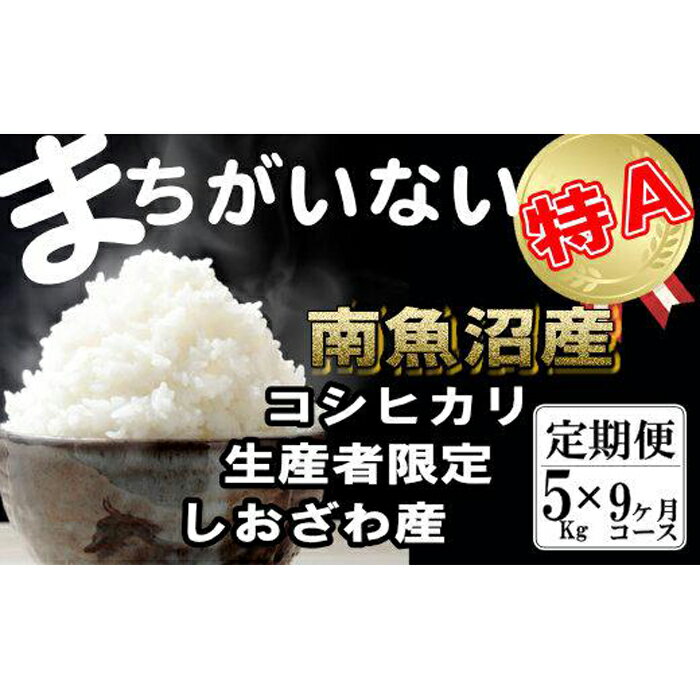 【ふるさと納税】米 定期便 コシヒカリ 南魚沼しおざわ産 45kg ( 5kg × 9ヶ月 ) 契約栽培 | お米 こめ 白米 コシヒカリ 食品 人気 おすすめ 送料無料 魚沼 南魚沼 南魚沼市 新潟県産 新潟県 精米 産直 産地直送 お取り寄せ お楽しみ