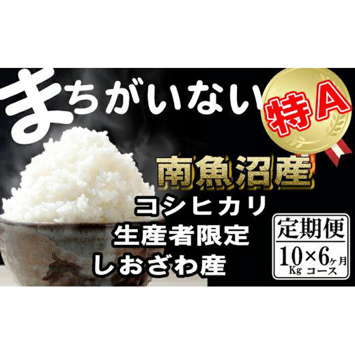 【ふるさと納税】米 定期便 コシヒカリ 南魚沼しおざわ産 60kg ( 10kg × 6ヶ月 ) 契約栽培 | お米 こめ 白米 コシヒカリ 食品 人気 おすすめ 送料無料 魚沼 南魚沼 南魚沼市 新潟県産 新潟県 精米 産直 産地直送 お取り寄せ お楽しみ