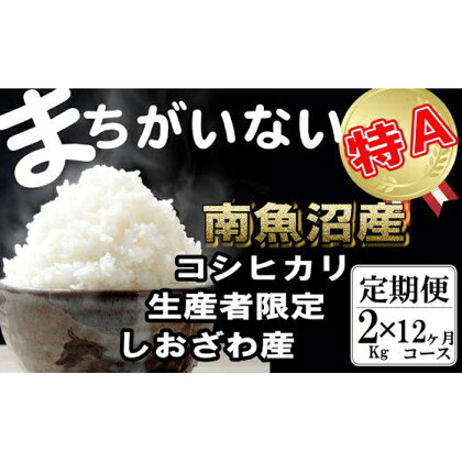 米 定期便 コシヒカリ 南魚沼しおざわ産 24kg ( 2kg × 12ヶ月 ) 契約栽培 | お米 こめ 白米 食品 人気 おすすめ 送料無料 魚沼 南魚沼 南魚沼市 新潟県 精米 産直 産地直送 お取り寄せ お楽しみ