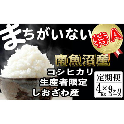 米 定期便 コシヒカリ 南魚沼しおざわ産 36kg ( 4kg × 9ヶ月 ) 契約栽培 | お米 こめ 白米 食品 人気 おすすめ 送料無料 魚沼 南魚沼 南魚沼市 新潟県 精米 産直 産地直送 お取り寄せ お楽しみ