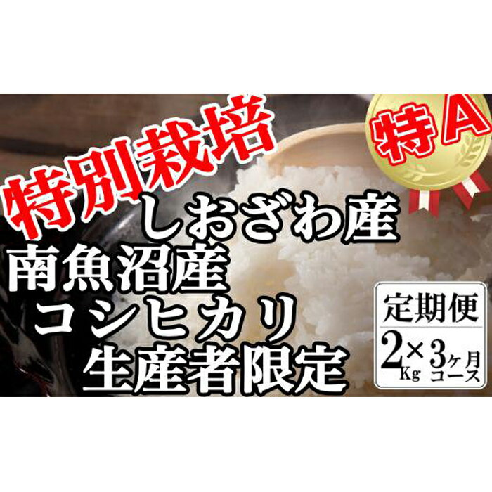 【ふるさと納税】米 定期便 コシヒカリ 南魚沼しおざわ産 6kg ( 2kg × 3ヶ月 ) 特別栽培 | お米 こめ 白米 コシヒカリ 食品 人気 おすすめ 送料無料 魚沼 南魚沼 南魚沼市 新潟県産 新潟県 精米 産直 産地直送 お取り寄せ お楽しみ