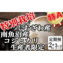 【ふるさと納税】【令和7年産】米 定期便 コシヒカリ 南魚沼しおざわ産 6kg ( 2kg × 3ヶ月 ) 特別栽培【2025年10月上旬より順次発送予定】 | お米 こめ 白米 コシヒカリ 食品 人気 おすすめ 送料無料 魚沼 南魚沼 南魚沼市 新潟県産 新潟県