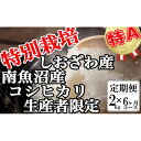 【ふるさと納税】【令和7年産】米 定期便 コシヒカリ 南魚沼しおざわ産 12kg ( 2kg × 6ヶ月 ) 特別栽培【2025年10月上旬より順次発送予定】 | お米 こめ 白米 コシヒカリ 食品 人気 おすすめ 送料無料 魚沼 南魚沼 南魚沼市 新潟県産 新潟県