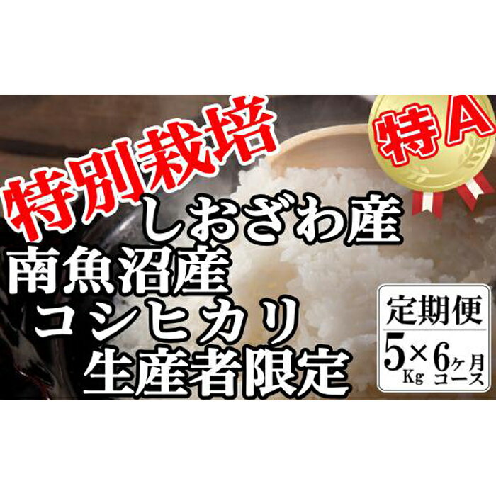 【ふるさと納税】米 定期便 コシヒカリ 南魚沼しおざわ産 30kg ( 5kg × 6ヶ月 ) 特別栽培 | お米 こめ 白米 コシヒカリ 食品 人気 おすすめ 送料無料 魚沼 南魚沼 南魚沼市 新潟県産 新潟県 精米 産直 産地直送 お取り寄せ お楽しみ