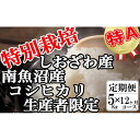 【ふるさと納税】【令和7年産】米 定期便 コシヒカリ 南魚沼しおざわ産 60kg ( 5kg × 12ヶ月 ) 特別栽培【2025年10月上旬より順次発送予定】 | お米 こめ 白米 コシヒカリ 食品 人気 おすすめ 送料無料 魚沼 南魚沼 南魚沼市 新潟県産 新潟県