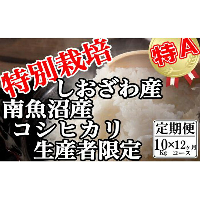 ・ふるさと納税よくある質問はこちら ・寄付申込みのキャンセル、返礼品の変更・返品はできません。あらかじめご了承ください。 ・ご要望を備考に記載頂いてもこちらでは対応いたしかねますので、何卒ご了承くださいませ。 ・寄付回数の制限は設けておりません。寄付をいただく度にお届けいたします。 商品概要 国内屈指の豪雪地域である南魚沼しおざわ地域、その豪雪を源とした豊富で清涼な水とコシヒカリ栽培に好適な盆地特有の昼夜の寒暖差のある気候と土壌との三条件が相まって生育された【南魚沼しおざわ産コシヒカリ】 地域の契約篤農家の手塩にかけたお米作りでその特徴である香り・つや・粘りは一段とひきだされ、まさに【極上】の逸品です。 【特別栽培米とは】 特別栽培米は、農林水産省が策定した「特別栽培農産物に係る表示ガイドライン」に沿って栽培されたお米のことです。このガイドラインは、無農薬や農薬の使用を節減して栽培された農産物への消費者の関心の高まりにともない、施行されたものです。 特別栽培米の基準は、そのお米が生産された地域の慣行レベル（各地域で慣行的に行われている節減対象農薬及び化学肥料の使用状況）に比べて、節減対象農薬の使用回数が5割以下、化学肥料の窒素成分量が5割以下、で栽培されたお米を指します。 ※（毎年10月に新米切替）※ ※原則ご受付月または翌月に第1回目の発送をし、2回目以降は同時期を目安に発送致します。 ※発送直前に精米し新鮮なままにお届けします。 ※定期便2回目以降のお届日時は、ご連絡いただければ対応させていただきます。 メールアドレス：order@tenjinsanso.co.jp 【お問合せ】発送事業者　【南魚沼食堂】天神山荘　TEL：025-783-2493 関連キーワード：お米 こめ 白米 食品 人気 おすすめ 送料無料 内容量・サイズ等 10Kg×12ヶ月　合計120Kg 賞味期限 精米日より30日【オススメ】精米日は別途商品裏に記載 配送方法 常温 発送期日 原則ご受付月または翌月に第1回目の発送をし、2回目以降は同時期を目安に発送致します。 アレルギー 特定原材料等28品目は使用していません ※ 表示内容に関しては各事業者の指定に基づき掲載しており、一切の内容を保証するものではございません。 ※ ご不明の点がございましたら事業者まで直接お問い合わせ下さい。 名称 【定期便：10Kg×12ヶ月】特別栽培 生産者限定 南魚沼しおざわ産コシヒカリ 産地名 新潟県南魚沼産 品種 コシヒカリ 産年 令和5年産 使用割合 単一原料米 精米時期 別途商品裏に記載 その他 賞味期限：精米日より30日【オススメ】精米日は別途商品裏に記載 事業者情報 事業者名 【南魚沼食堂】天神山荘　 連絡先 TEL：025-783-2493またはメール：order@tenjinsanso.co.jp 営業時間 9:00-17:00 定休日 土日祝祭日及び年末年始「ふるさと納税」寄付金は、下記の事業を推進する資金として活用してまいります。 （1）南魚沼市の応援 （2）保健・医療・福祉 （3）教育・スポーツ・文化の振興 （4）産業振興・環境共生 （5）都市基盤・行財政改革 （6）国際大学の応援と交流の推進 （7）北里大学の応援と交流の推進