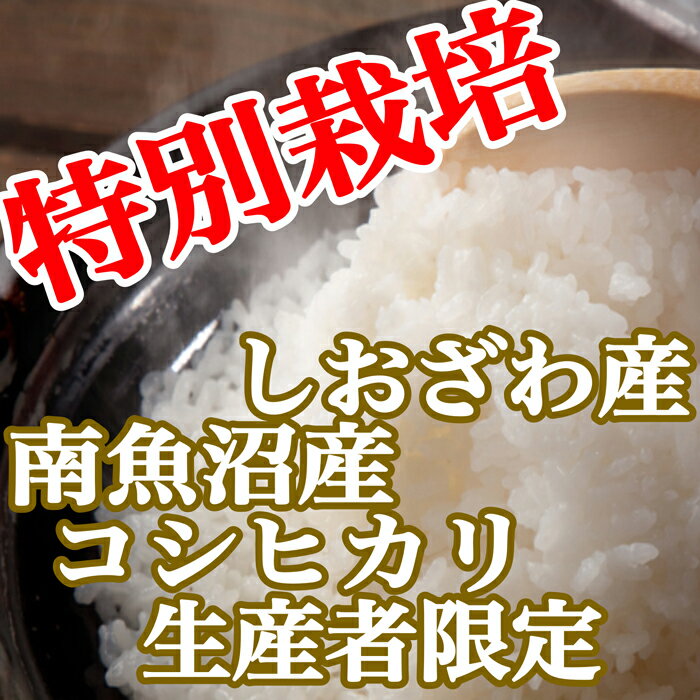 【ふるさと納税】【定期便：10Kg×12ヶ月】特別栽培 生産者限定 南魚沼しおざわ産コシヒカリ