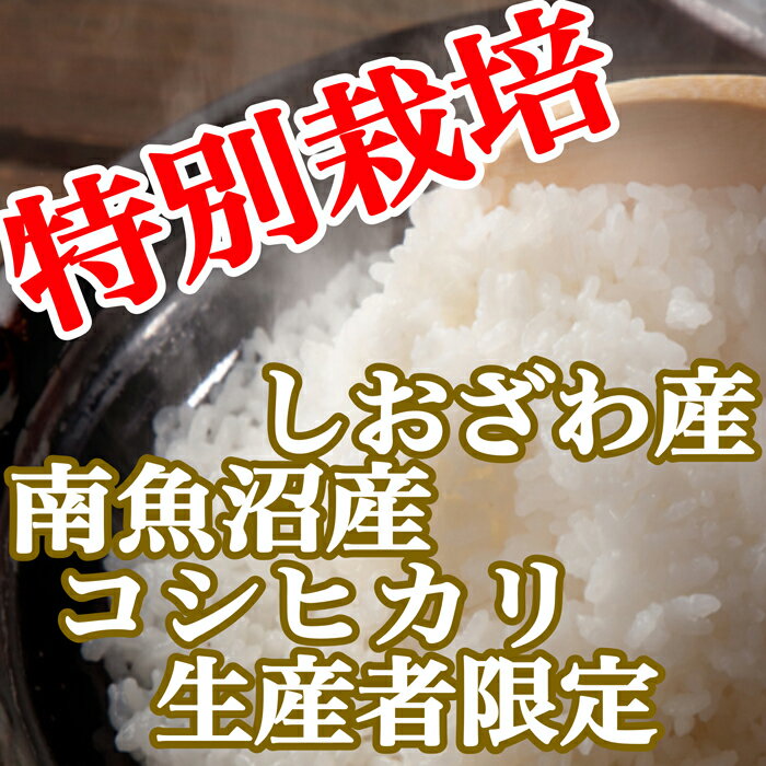 【ふるさと納税】米 定期便 コシヒカリ 南魚沼しおざわ産 120kg ( 10kg × 12ヶ月 ) 特別栽培 | お米 こめ 白米 コシヒカリ 食品 人気 おすすめ 送料無料 魚沼 南魚沼 南魚沼市 新潟県産 新潟県 精米 産直 産地直送 お取り寄せ お楽しみ