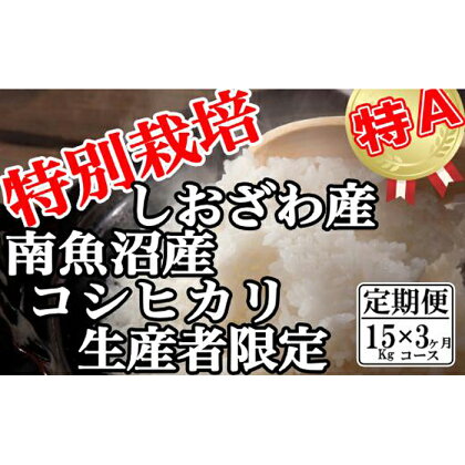 米 定期便 コシヒカリ 南魚沼しおざわ産 45kg ( 15kg × 3ヶ月 ) 特別栽培 | お米 こめ 白米 コシヒカリ 食品 人気 おすすめ 送料無料 魚沼 南魚沼 南魚沼市 新潟県産 新潟県 精米 産直 産地直送 お取り寄せ お楽しみ