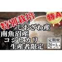 【ふるさと納税】【令和7年産】米 定期便 コシヒカリ 南魚沼しおざわ産 60kg ( 20kg × 3ヶ月 ) 特別栽培【2025年10月上旬より順次発送予定】 | お米 こめ 白米 コシヒカリ 食品 人気 おすすめ 送料無料 魚沼 南魚沼 南魚沼市 新潟県産 新潟県