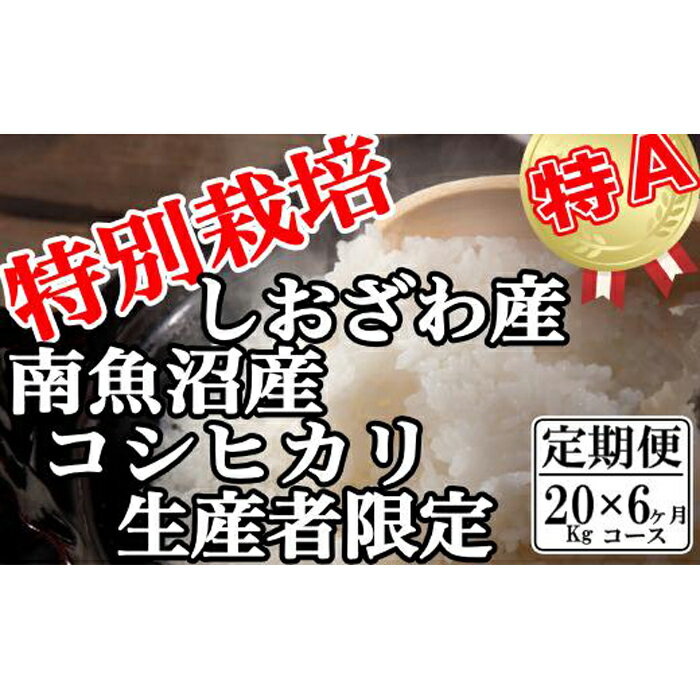 【ふるさと納税】米 定期便 コシヒカリ 南魚沼しおざわ産 120kg ( 20kg × 6ヶ月 ) 特別栽培 | お米 こめ 白米 コシヒカリ 食品 人気 おすすめ 送料無料 魚沼 南魚沼 南魚沼市 新潟県産 新潟県 精米 産直 産地直送 お取り寄せ お楽しみ