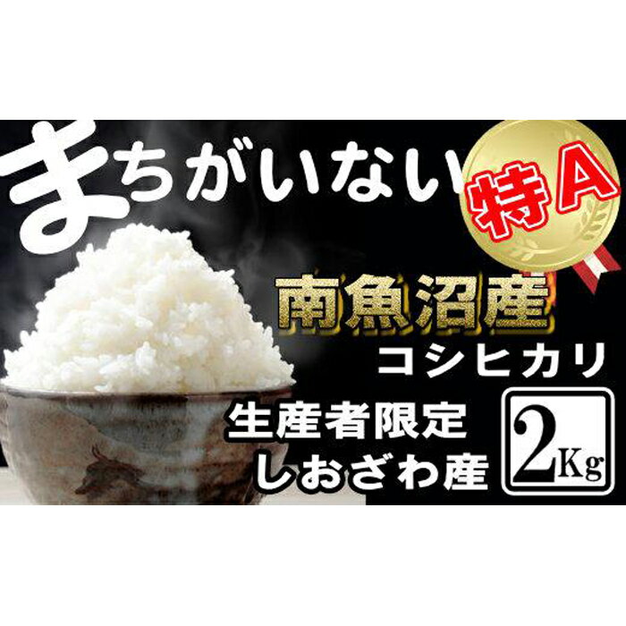 米 コシヒカリ 南魚沼しおざわ産 2kg 契約栽培 | お米 こめ 白米 コシヒカリ 食品 人気 おすすめ 送料無料 魚沼 南魚沼 南魚沼市 新潟県産 新潟県 精米 産直 産地直送 お取り寄せ