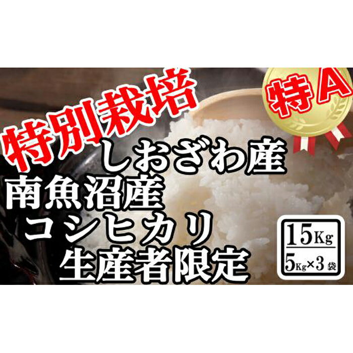 【ふるさと納税】【令