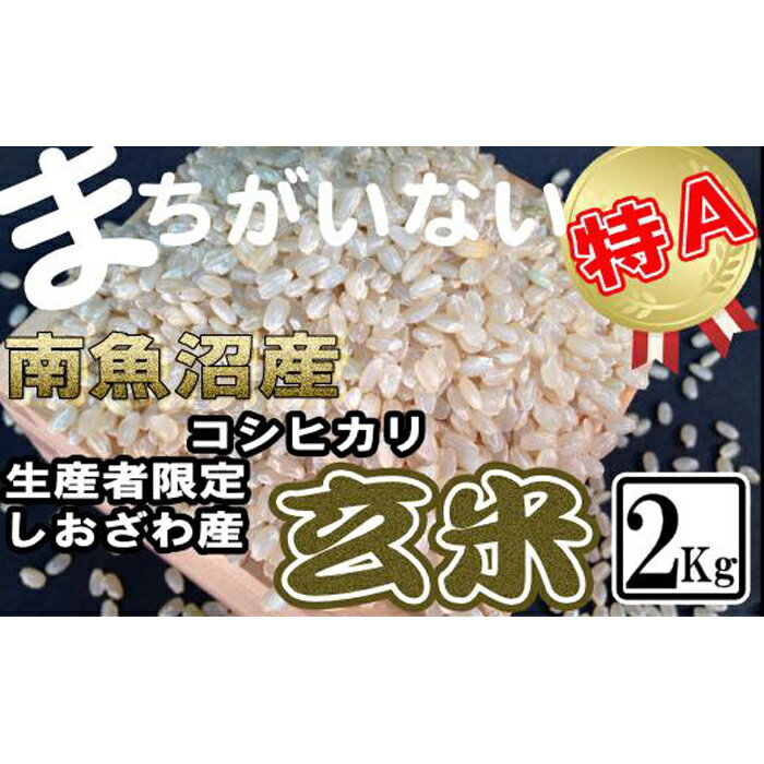 【ふるさと納税】米 玄米 コシヒカリ 南魚沼しおざわ産 2kg | お米 こめ 食品 人気 おすすめ 送料無料...