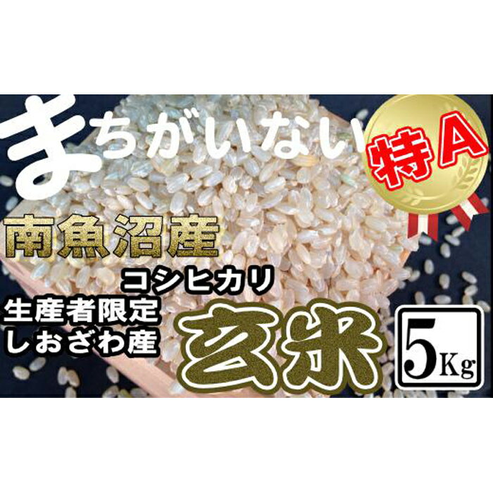 22位! 口コミ数「0件」評価「0」米 玄米 コシヒカリ 南魚沼しおざわ産 5kg | お米 こめ 食品 コシヒカリ 人気 おすすめ 送料無料 魚沼 南魚沼 南魚沼市 新潟県 ･･･ 