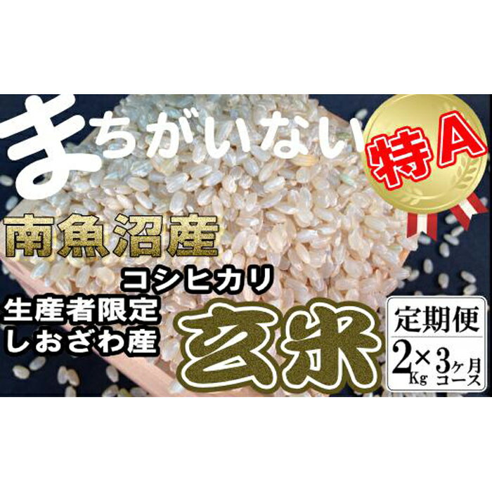 米 定期便 玄米 コシヒカリ 南魚沼しおざわ産 6kg ( 2kg × 3ヶ月 ) | お米 こめ 食品 コシヒカリ 人気 おすすめ 送料無料 魚沼 南魚沼 南魚沼市 新潟県 玄米 産直 産地直送 お取り寄せ お楽しみ