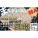 【ふるさと納税】【定期便】玄米 生産者限定 南魚沼しおざわ産コシヒカリ2Kg×6ヶ月