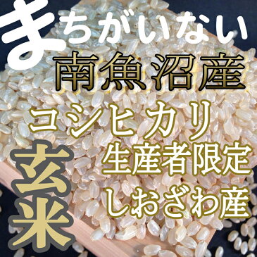 【ふるさと納税】【定期便】玄米 生産者限定 南魚沼しおざわ産コシヒカリ10Kg×6ヶ月