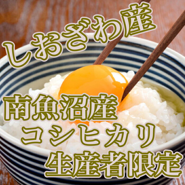 【ふるさと納税】米 定期便 コシヒカリ 南魚沼しおざわ産 15kg ( 5kg × 3ヶ月 ) 契約栽培 | お米 こめ 白米 食品 人気 おすすめ 送料無料 魚沼 南魚沼 南魚沼市 新潟県 精米 産直 産地直送 お取り寄せ お楽しみ