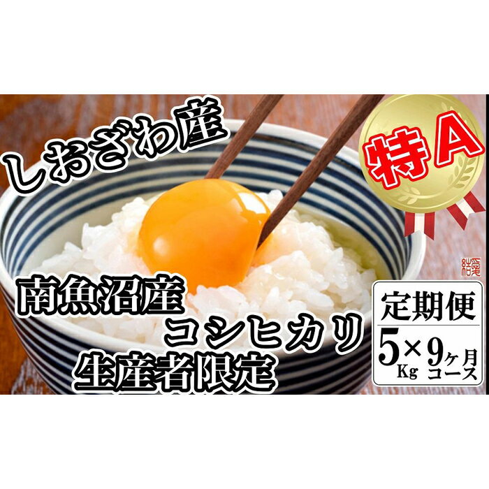 ・ふるさと納税よくある質問はこちら ・寄付申込みのキャンセル、返礼品の変更・返品はできません。あらかじめご了承ください。 ・ご要望を備考に記載頂いてもこちらでは対応いたしかねますので、何卒ご了承くださいませ。 ・寄付回数の制限は設けておりません。寄付をいただく度にお届けいたします。 商品概要 国内屈指の豪雪地域である南魚沼しおざわ地域、その豪雪を源とした豊富で清涼な水とコシヒカリ栽培に好適な盆地特有の昼夜の寒暖差のある気候と土壌との三条件が相まって生育された【南魚沼しおざわ産コシヒカリ】 地域の契約篤農家の手塩にかけたお米作りでその特徴である香り・つや・粘りは一段とひきだされ、まさに【極上】の逸品です。 発送直前に精米し新鮮なお米をお届けいたします。 （毎年10月新米に切替予定） 【品種】 コシヒカリ　うるち精米　新潟県南魚沼市産(旧塩沢町産)　単一原料米 【お問合せ】発送事業者（越後南魚沼の里　結愛　TEL：090-2305-2043） 関連キーワード：お米 こめ 白米 食品 人気 おすすめ 送料無料 内容量・サイズ等 5kg×9ヶ月　合計45kg 賞味期限 精米日より30日【オススメ】精米日は別途商品裏に記載　※冷暗所で保存してください。 配送方法 常温 発送期日 ご注文後、準備でき次第に一回目を発送。翌月以降は同時期を目安に発送致します。 アレルギー 特定原材料等28品目は使用していません ※ 表示内容に関しては各事業者の指定に基づき掲載しており、一切の内容を保証するものではございません。 ※ ご不明の点がございましたら事業者まで直接お問い合わせ下さい。 名称 うるち精米 産地名 新潟県南魚沼産 品種 コシヒカリ 産年 令和5年産 使用割合 単一原料米 精米時期 別途商品ラベルに記載 事業者情報 事業者名 越後南魚沼の里　結愛 連絡先 090-3647-8162 営業時間 9:00-18:00 定休日 土日祝祭日及び年末年始「ふるさと納税」寄付金は、下記の事業を推進する資金として活用してまいります。 （1）南魚沼市の応援 （2）保健・医療・福祉 （3）教育・スポーツ・文化の振興 （4）産業振興・環境共生 （5）都市基盤・行財政改革 （6）国際大学の応援と交流の推進 （7）北里大学の応援と交流の推進